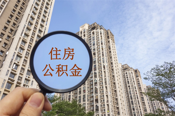 梅河口如何把封存离职公积金全部取来（离职封存公积金提取业务）